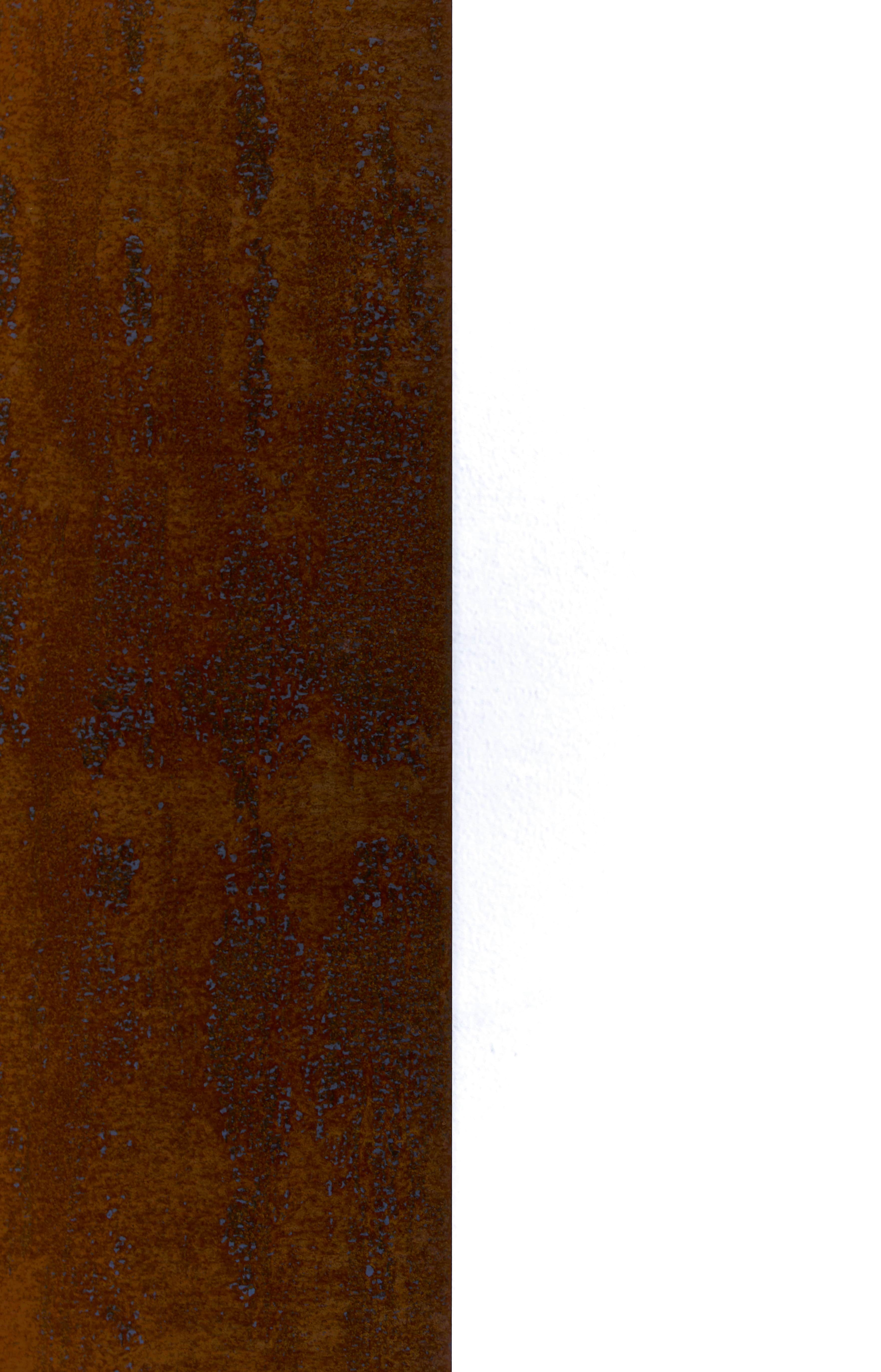 0.05ft — Tiefe trifft auf Stille – eine visuelle Gegenüberstellung von Textur und Leere. Die organisch gewachsene Oberfläche entfaltet ein Spiel aus Licht und…