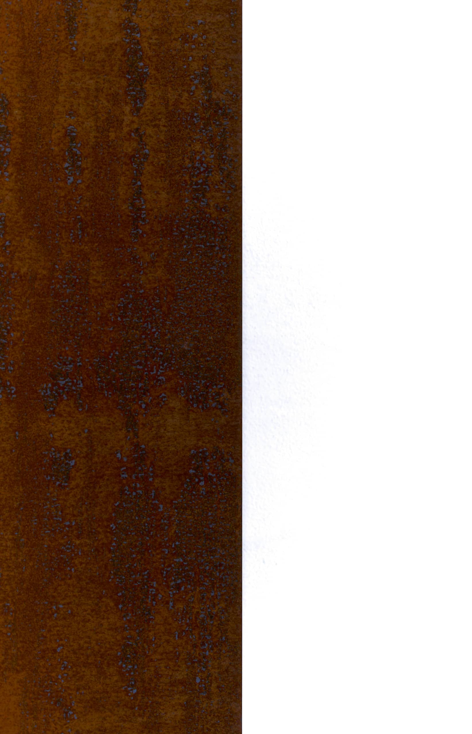 0.05ft — Tiefe trifft auf Stille – eine visuelle Gegenüberstellung von Textur und Leere. Die organisch gewachsene Oberfläche entfaltet ein Spiel aus Licht und…